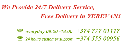 24/7 Delivery Service of Flowers, Gifts and Fruit Baskets
