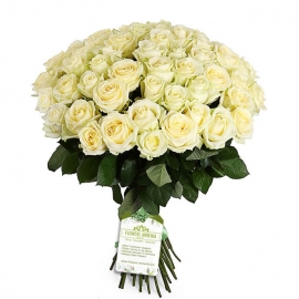 Bouquet «37 White Roses»