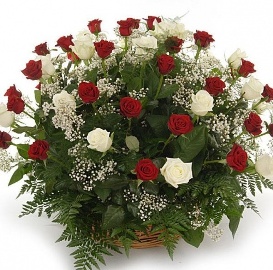 Basket of 90 Red & White Roses