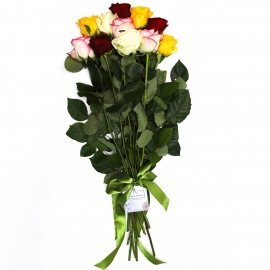 Bouquet of 11 colourful  roses