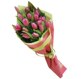 Bouquet of Pink Tulips