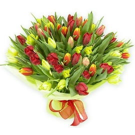 Bouquet of 77 Colorful Tulips