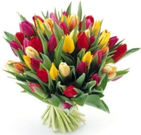 Bouquet of 51 Colorful Tulips