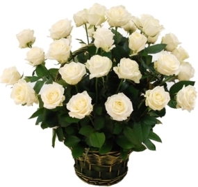 Շողացող սպիտակ վարդերով զամբյուղ