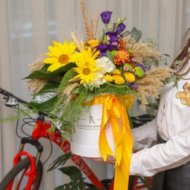 Charming Sunflower