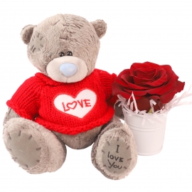 Bear With One Red Rose