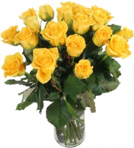 Stunning Yellow Roses