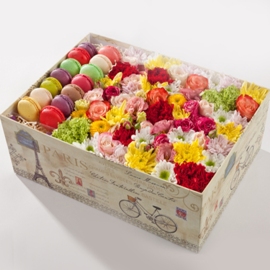 Dream of Flowers