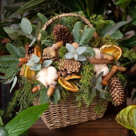 Winter Garden
