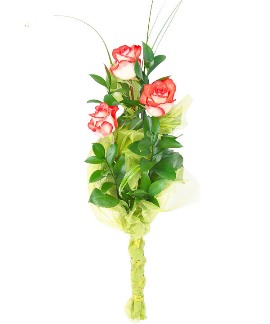 Romance of Roses