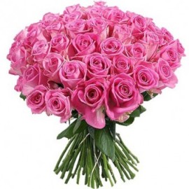 Awesome Pink Roses