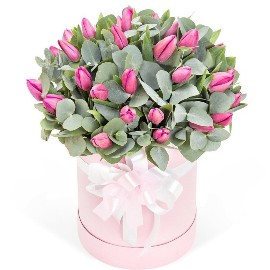 Serenity Tulips