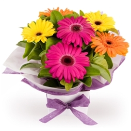 A Delight for You