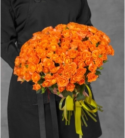 Orange beauty