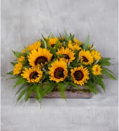 Sunflowers in Wooden Box