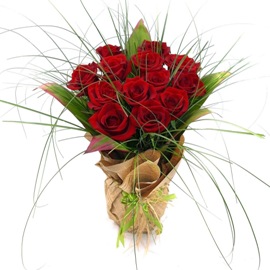 Misancellous  Roses