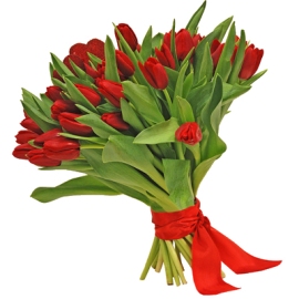 35 Red Shining Tulips