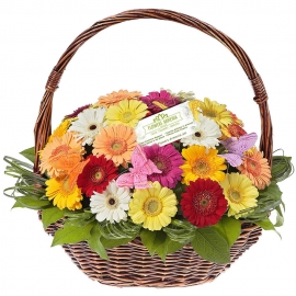 Flower basket «Bright Memories»