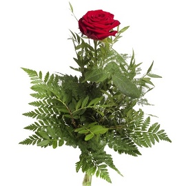 A Single Rose with Greenery
