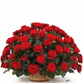 Sympathy Basket of 70 Red Roses