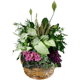 Touch of Spring Basket