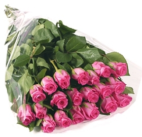 Assorted Pink Roses