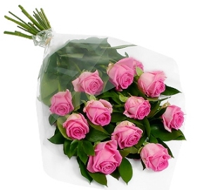 Alluring Roses