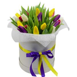 Happy Tulips Box