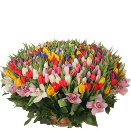 Royal Tulip  Basket